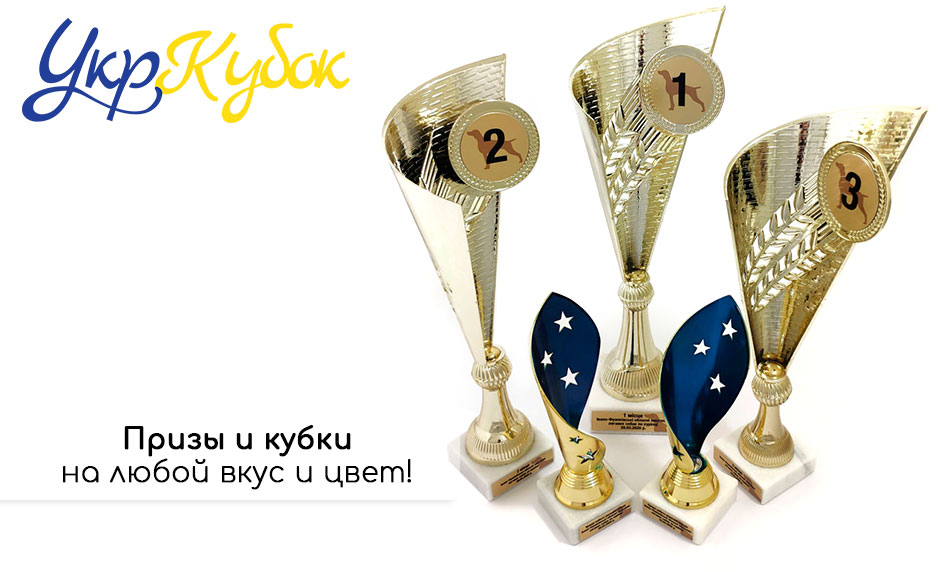 У нас есть награды для Вашего праздника! У нас есть награды для Вашего праздника!